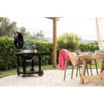 Napoleon Kettle Pro 57 cm Holzkohlegrill-Set auf Wagen + Abdeckhaube + Anzündkamin und Bürste – Image 4